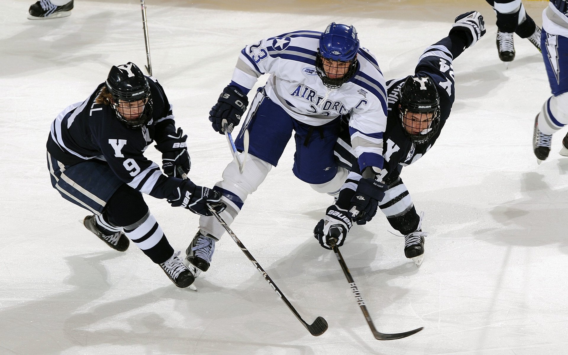 开云体育充值-全球电竞粉丝聚会预告，全球电竞联盟